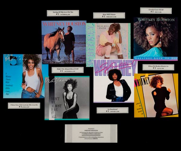 Los 12 objetos subastados de Whitney Houston que son oro puro - 11