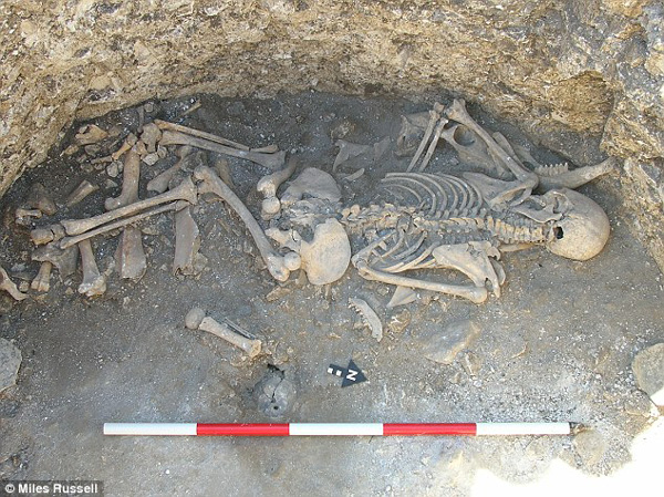 Descubren enterramientos de animales híbridos en un cementerio celta - 2