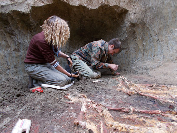 Encuentran Esqueletos Gigantes En Una Tumba Milenaria History