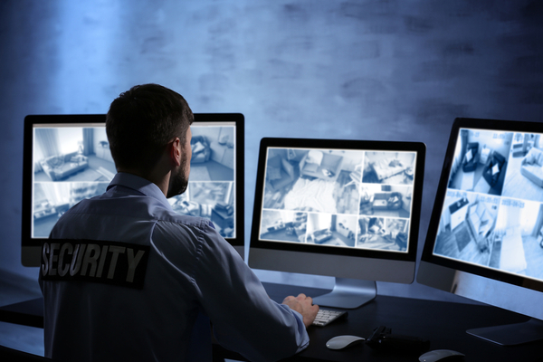 La videovigilancia declara la guerra contra la delincuencia - 2