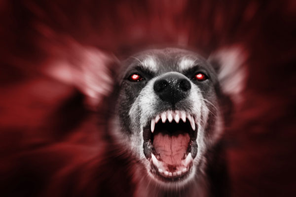 Los Perros del Infierno: una aterradora leyenda universal - 1