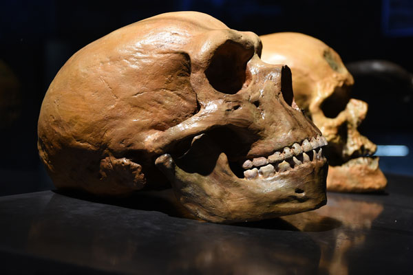 La inimaginable razón por la que los neandertales se extinguieron - 1