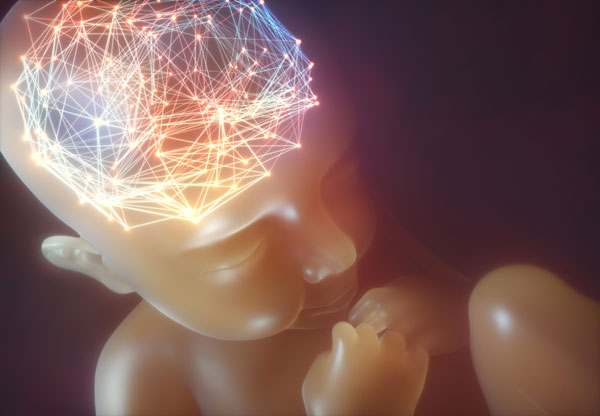 El cerebro del bebé es la computadora más inteligente que se conozca - 1