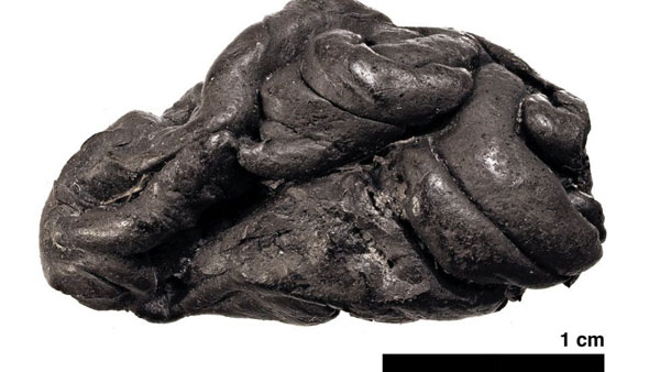 Un chicle de 6 mil años permitió reconstruir el rostro de una mujer de la Edad de Piedra - 2