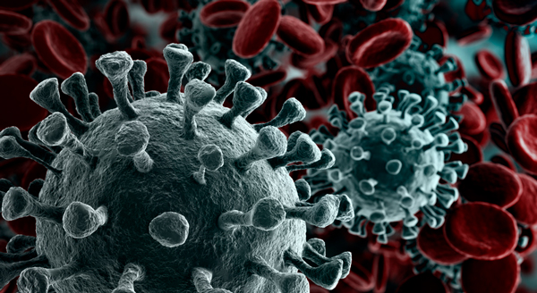 Bill Gates reveló tres recomendaciones para luchar contra el coronavirus - 1