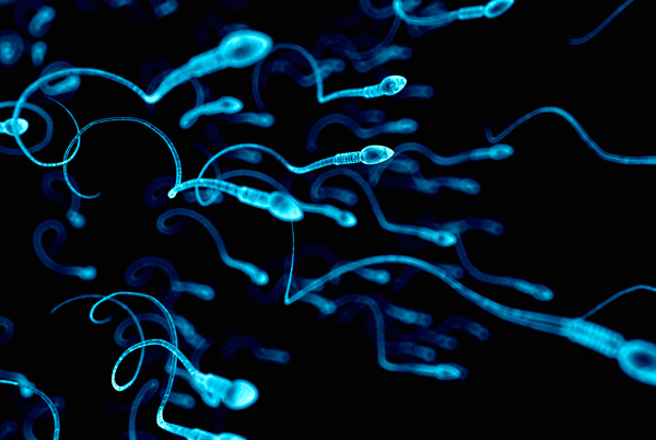Hallazgo científico: los espermatozoides no se mueven como se creía - 1