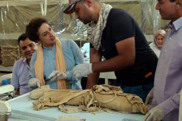 Momia egipcia de un animal extraordinariamente grande desconcertó a los arqueólogos - 1