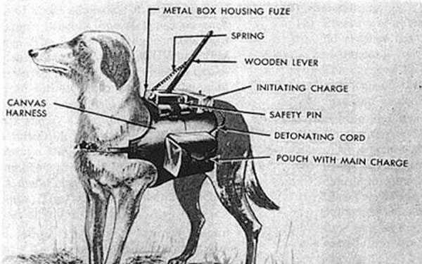Los macabros perros bomba del Ejército soviético - 2
