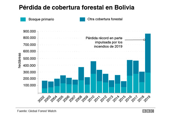 Los 5 países latinoamericanos que más bosque perdieron - 2