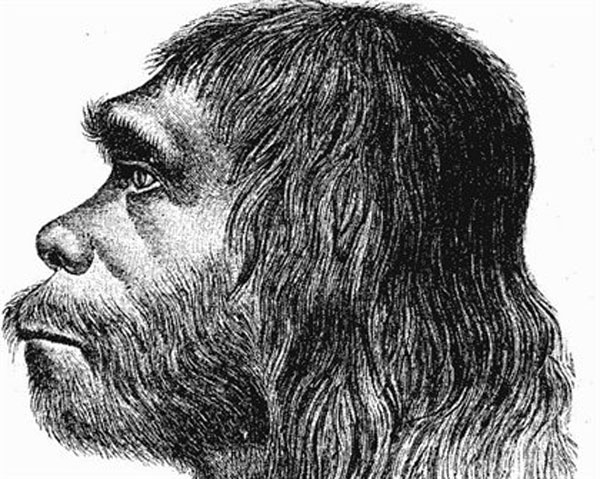 Cómo la regulación genética separó a humanos modernos de neandertales - 1