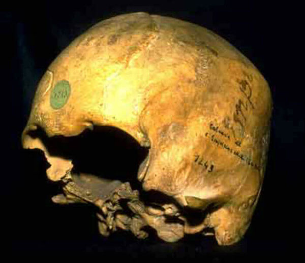 El enigma tras la desaparición del cráneo de Moctezuma - 1