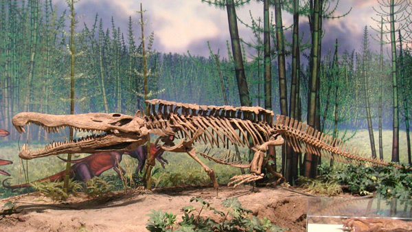 La extinción que dio paso al Jurásico habría ocurrido mucho más tarde de lo que se creía - 1