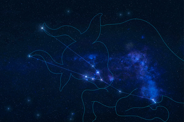En el cielo pueden verse astros dibujados hace 17 mil años - 2