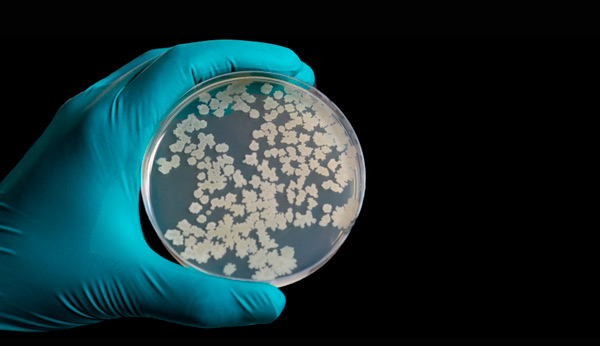 Hallan extrañas bacterias en la Estación Espacial Internacional - 2
