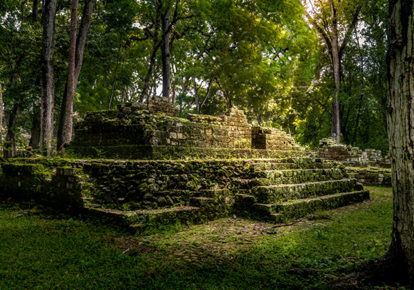 Descubren nuevas pistas del colapso de la civilización maya - 2
